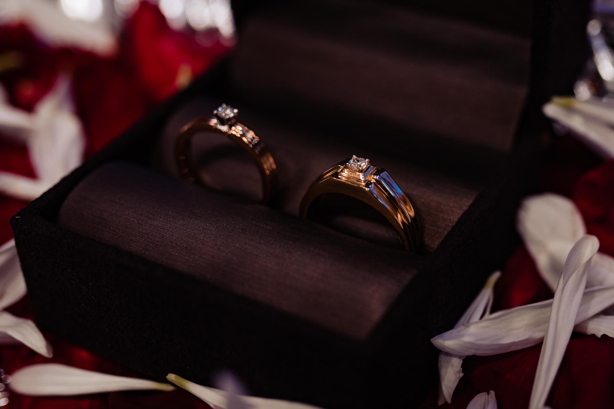 Manjushree & Abhilash Engagement — photo 13